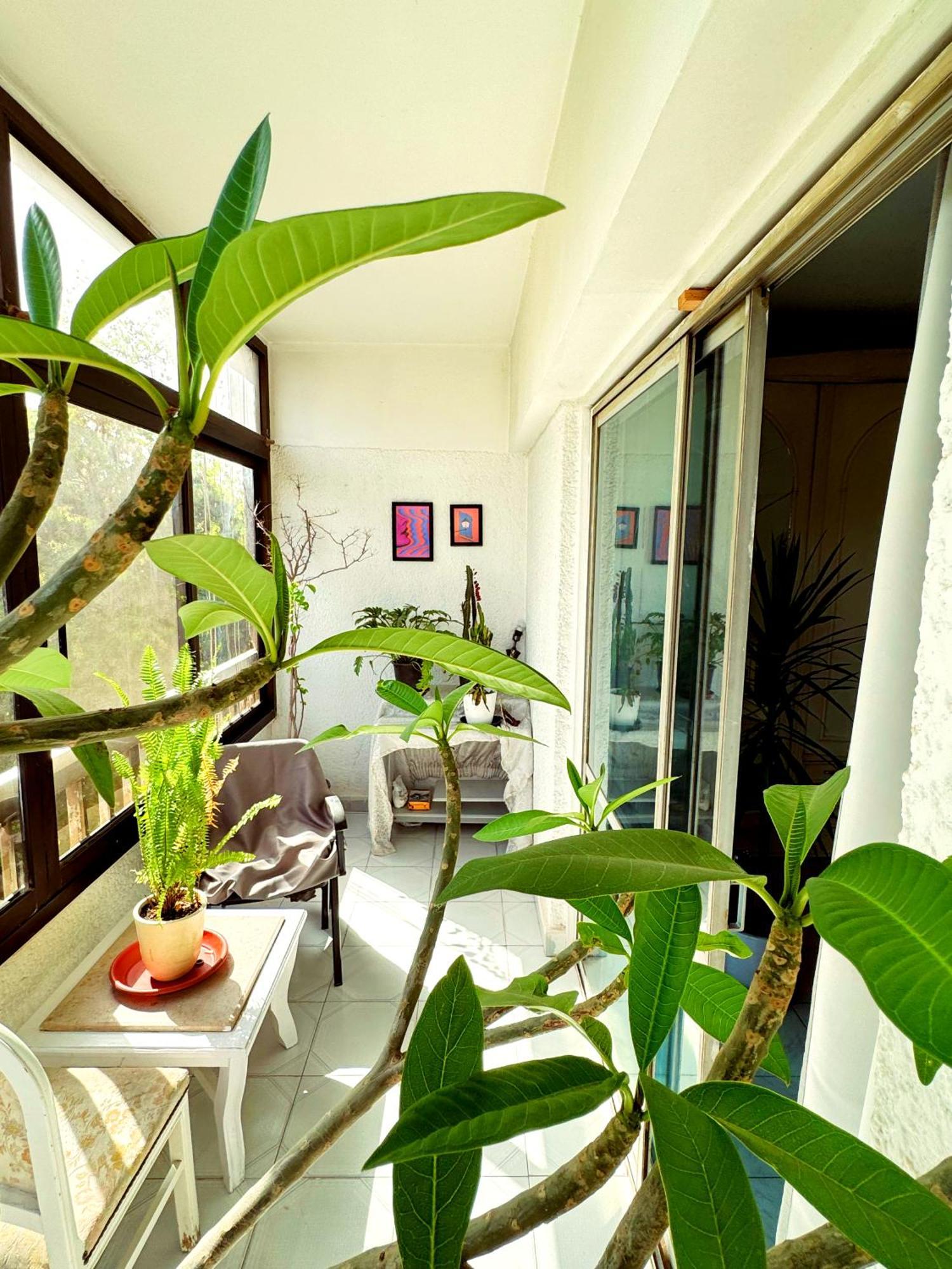 Large Room With Its Own Balcony Кайро Екстериор снимка